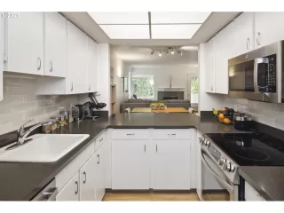 Photo #4: 102062239 Listing 