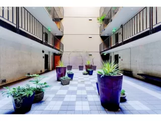 Photo #2: 103495234 Listing 