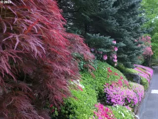 Photo #1: 112627552 Listing 