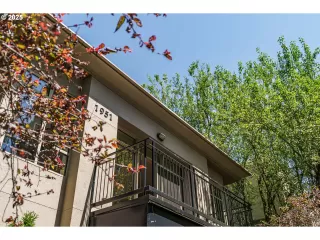 Photo #1: 116175818 Listing