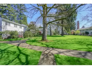 Primary Photo for MLS#: 124552526