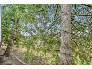 Photo #3: 128073082 Listing 