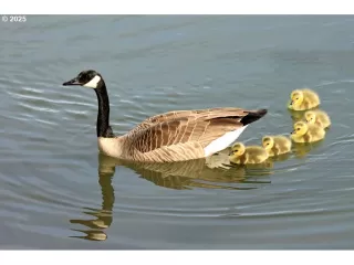 Photo #3: 129123323 Listing 