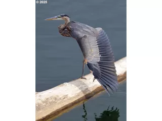 Photo #4: 129123323 Listing 