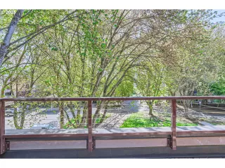 Photo #5: 137462990 Listing