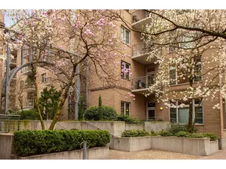 Photo #5: 145351910 Listing 