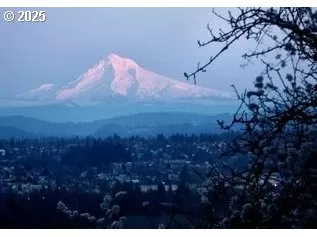 Photo #5: 148292432 Listing