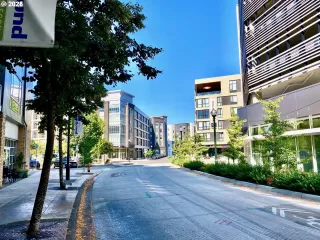 Photo #5: 163096153 Listing 