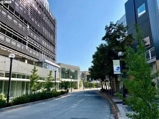 Photo #6: 163096153 Listing 