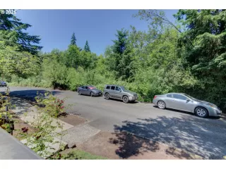 Photo #6: 164060994 Listing