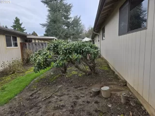 Photo #5: 176493202 Listing 