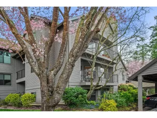 Photo #1: 180794598 Listing