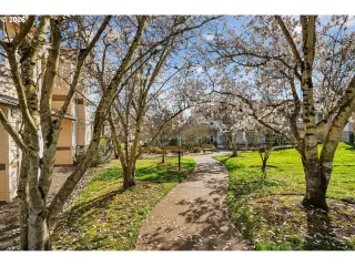 Photo #5: 183775640 Listing 