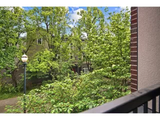 Photo #1: 186080631 Listing