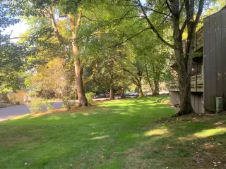 Photo #5: 19145145 Listing 