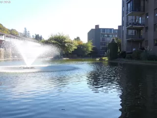 Photo #2: 19160083 Listing 