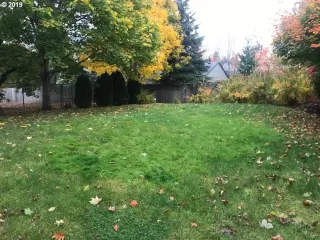 Photo #1: 19192604 Listing