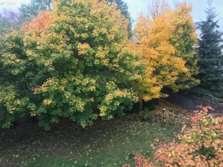 Photo #3: 19192604 Listing