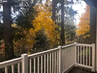 Photo #5: 19320637 Listing