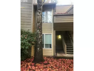 Photo #6: 19343102 Listing 