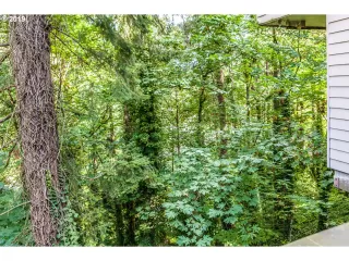 Photo #2: 19347100 Listing 