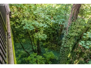 Photo #3: 19347100 Listing 