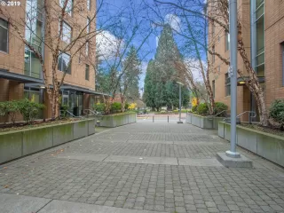 Photo #2: 19357404 Listing