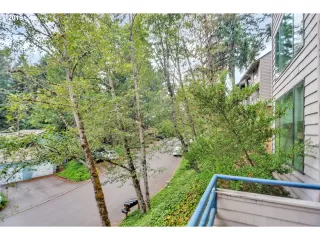 Photo #6: 19466747 Listing