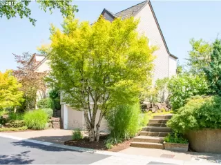 Photo #2: 19494260 Listing 