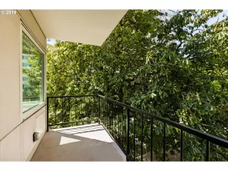 Photo #1: 19544336 Listing 