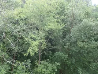 Photo #4: 19557412 Listing