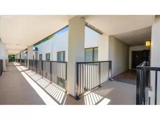 Photo #5: 195953937 Listing