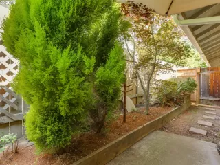 Photo #6: 19611436 Listing