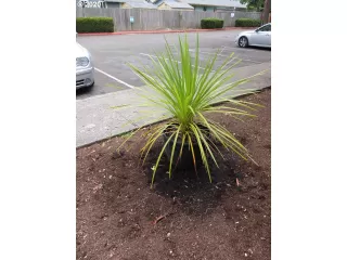 Photo #6: 20024147 Listing