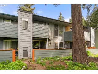 Photo #1: 20031267 Listing 