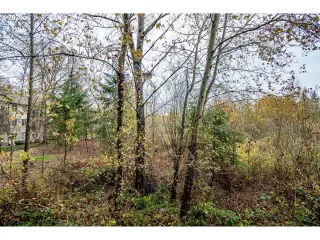 Photo #5: 20041707 Listing