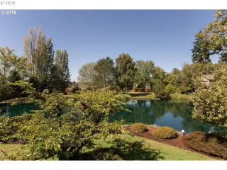 Photo #2: 20044289 Listing 