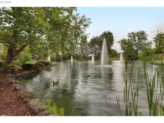 Photo #4: 20044289 Listing 