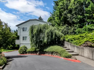 Photo #1: 20046355 Listing