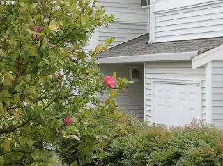 Photo #5: 20046849 Listing