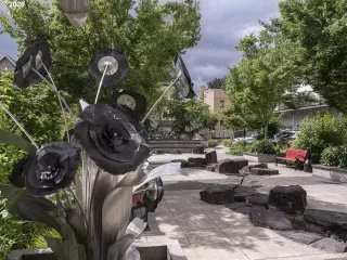 Photo #1: 20067097 Listing 