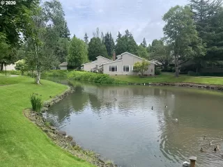 Photo #6: 20095886 Listing