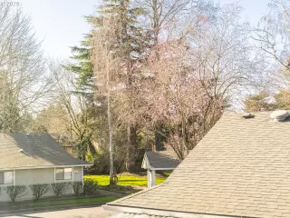 Photo #6: 20097590 Listing