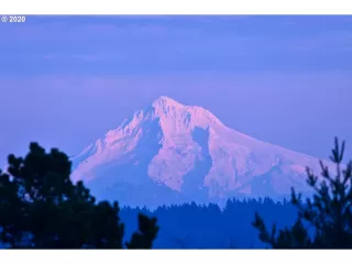 Photo #3: 20099052 Listing