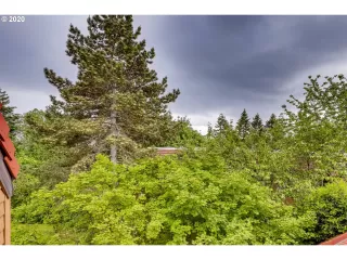 Photo #1: 20100040 Listing