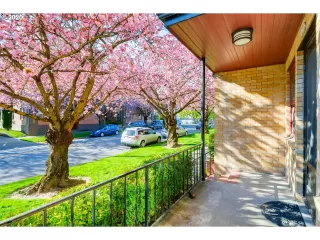 Photo #1: 20117791 Listing