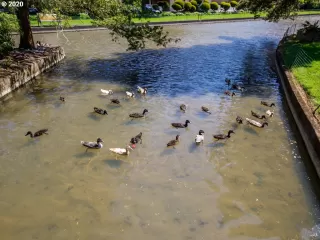 Photo #3: 20143797 Listing