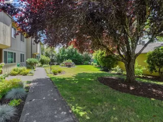 Photo #2: 20154197 Listing 