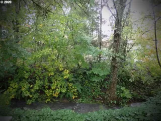 Photo #4: 20154206 Listing