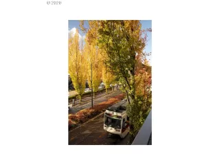 Photo #2: 20180329 Listing